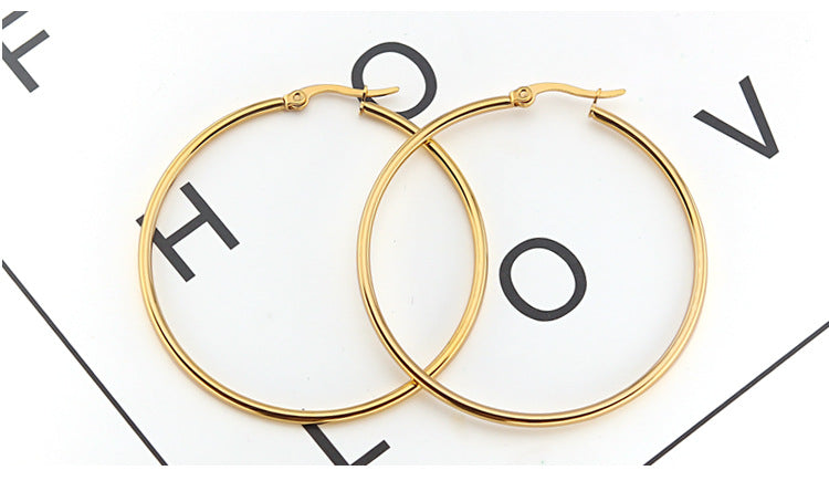 E2567# Titanium Steel Earrings