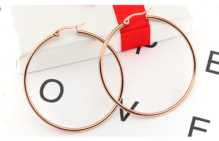E2567# Titanium Steel Earrings