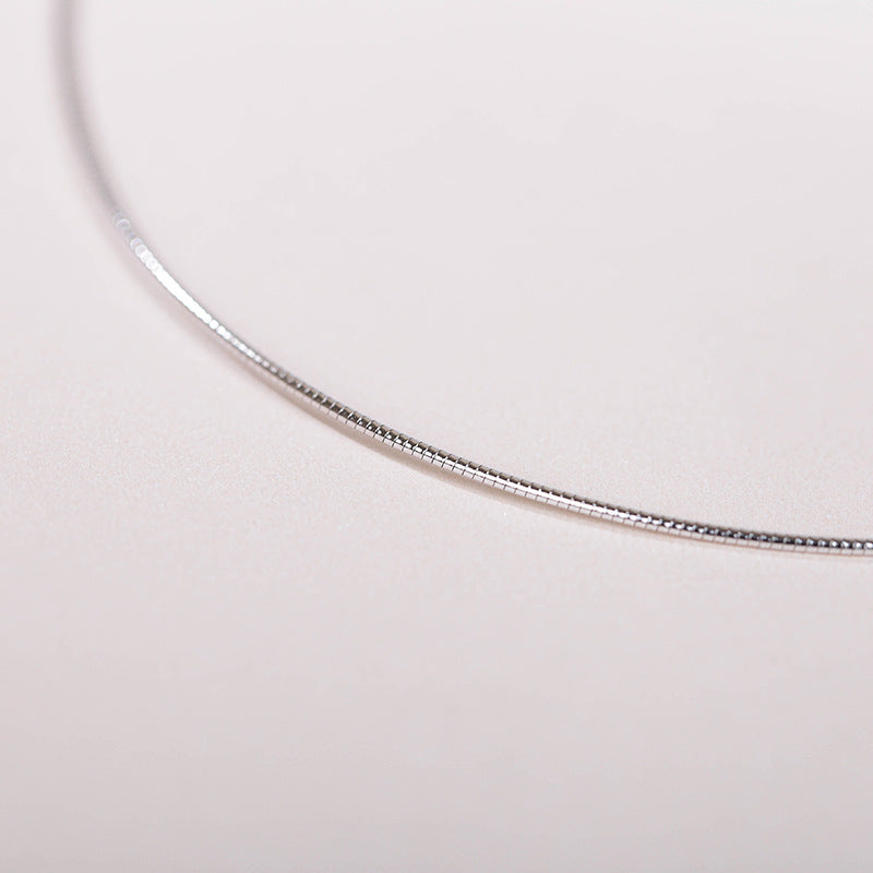 E2603# Titanium Steel Necklace