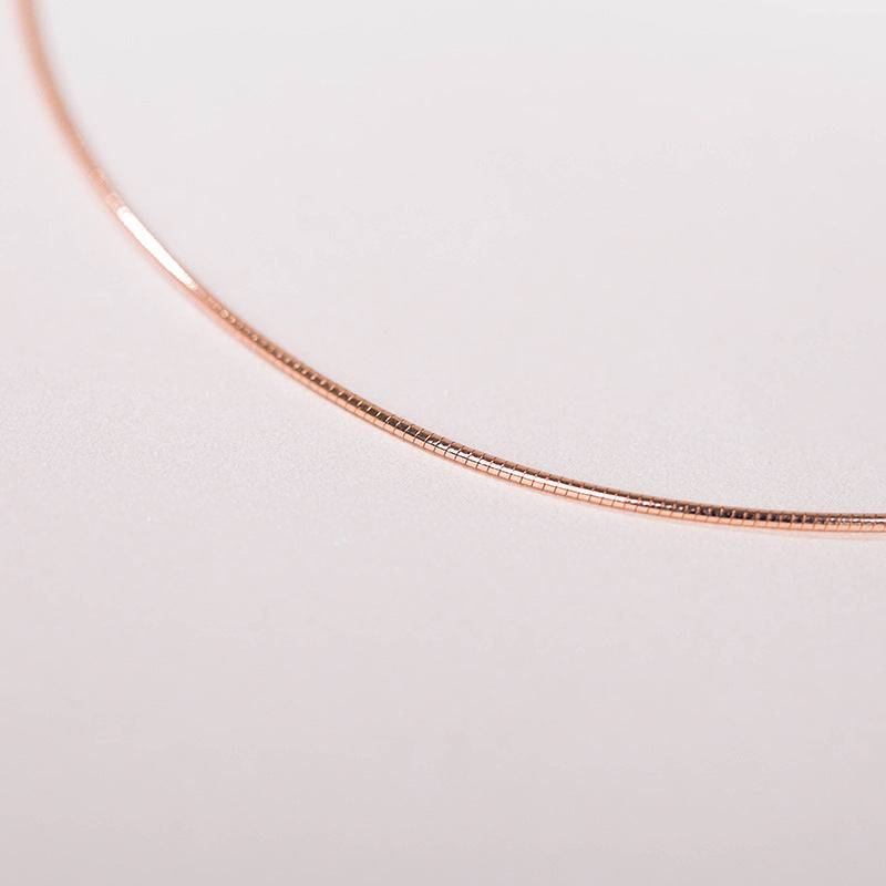 E2603# Titanium Steel Necklace
