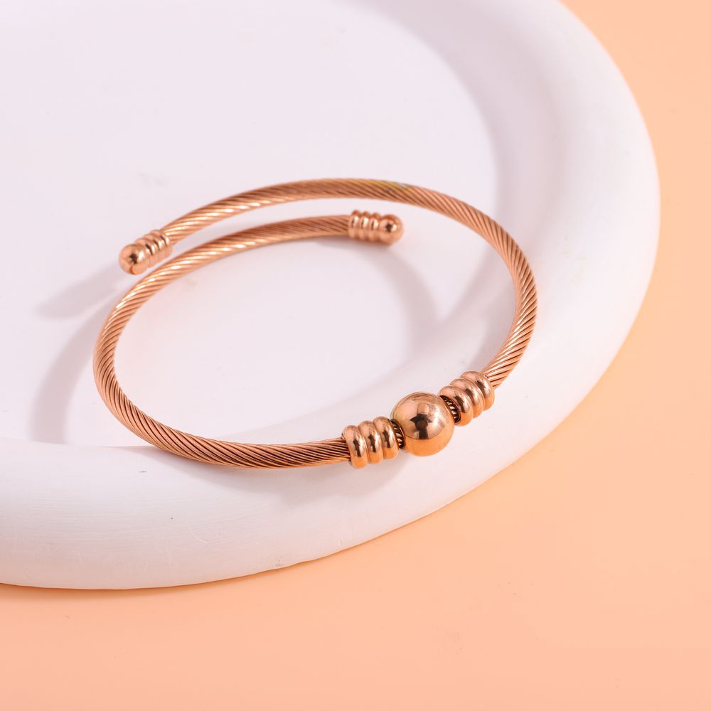 E2639# Titanium Steel Earrings and Bracelets