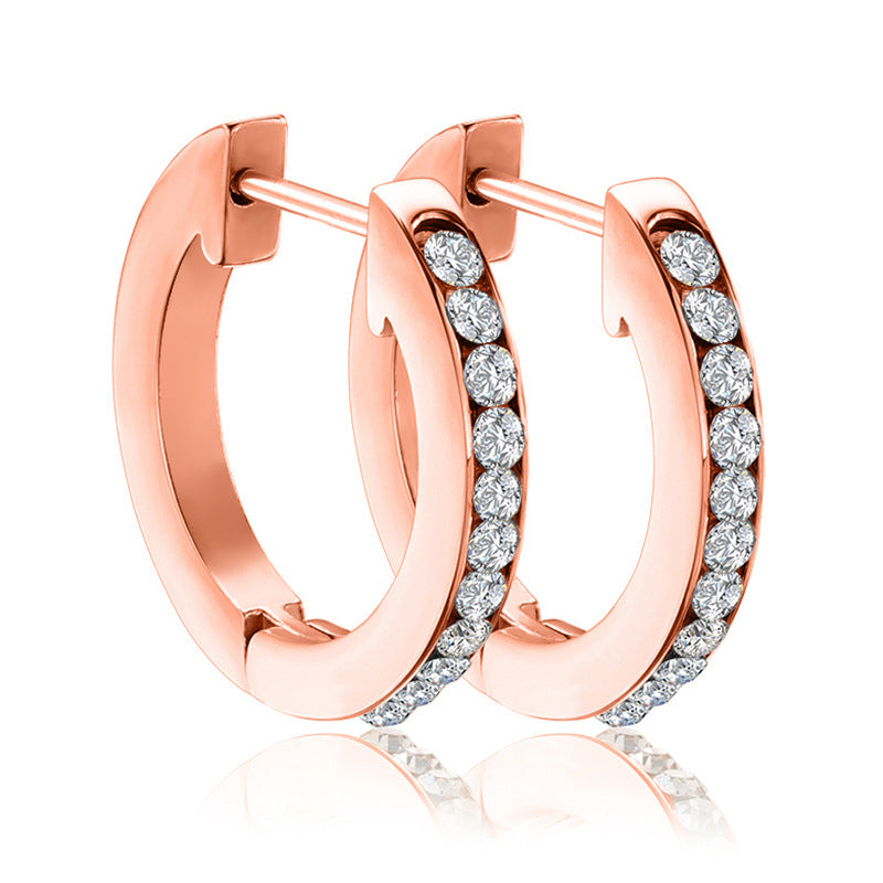 E2567# Titanium Steel Earrings