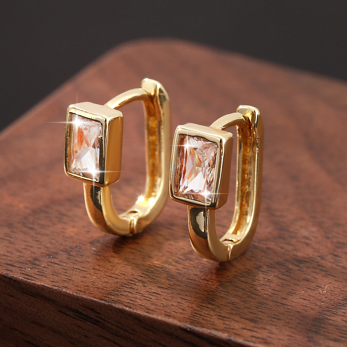E3707#Fashion Earrings
